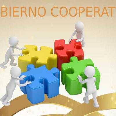 Curso Gobierno Cooperativo 2014